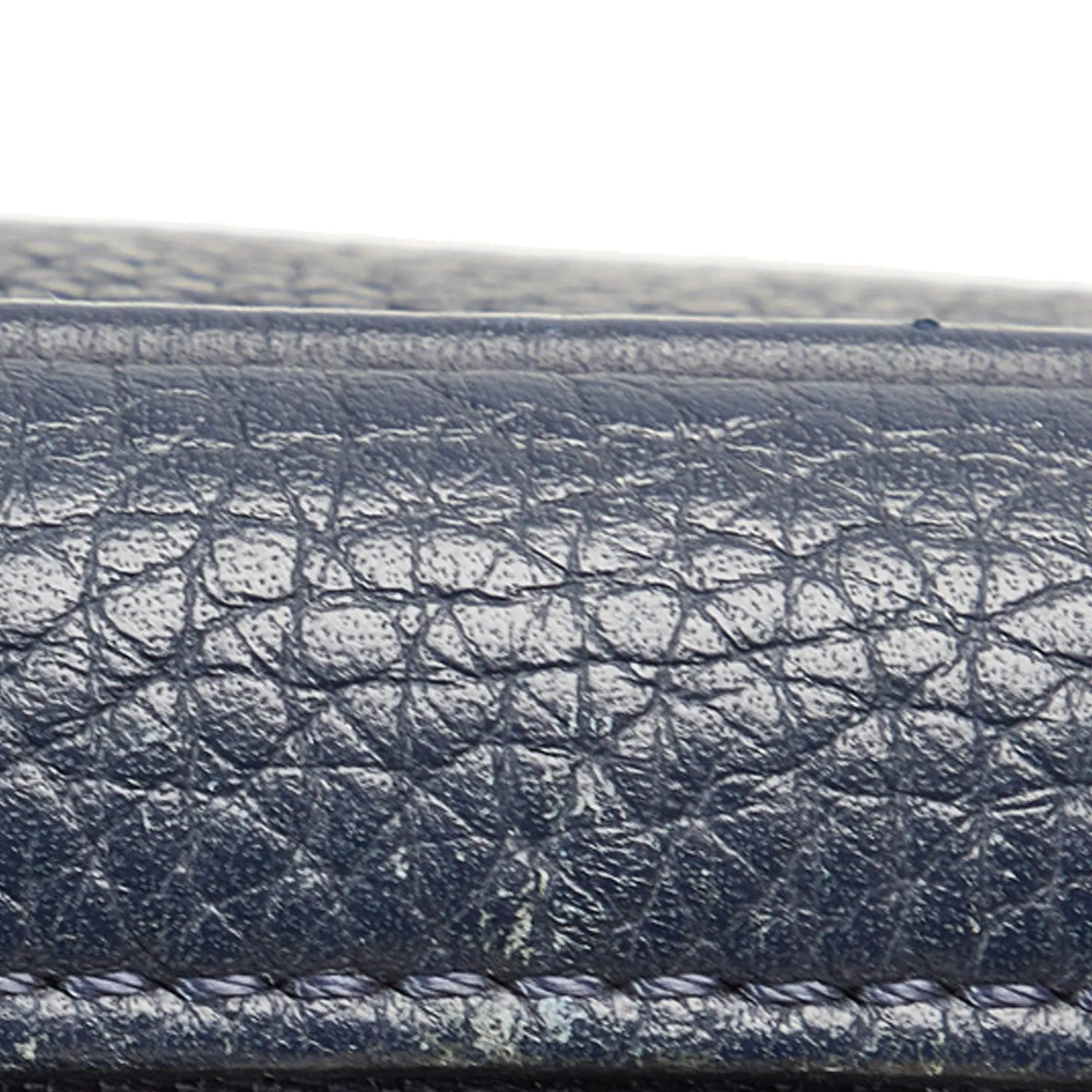 Blue Louis Vuitton Taurillon Danube LV Circle  PM