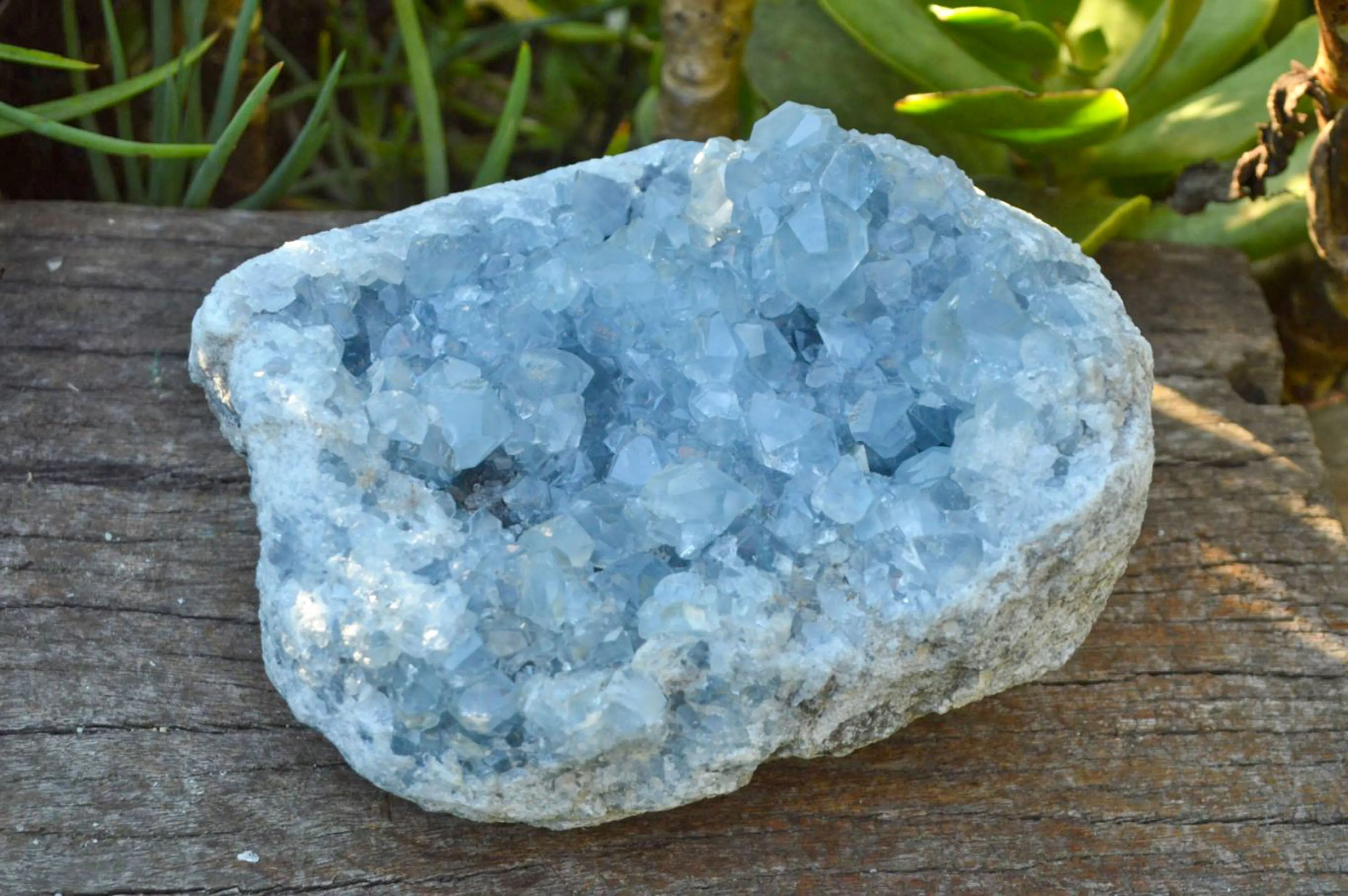 Natural Blue Celestite Cluster With Large Cubic Crystals x 1 From Sakoany, Madagascar