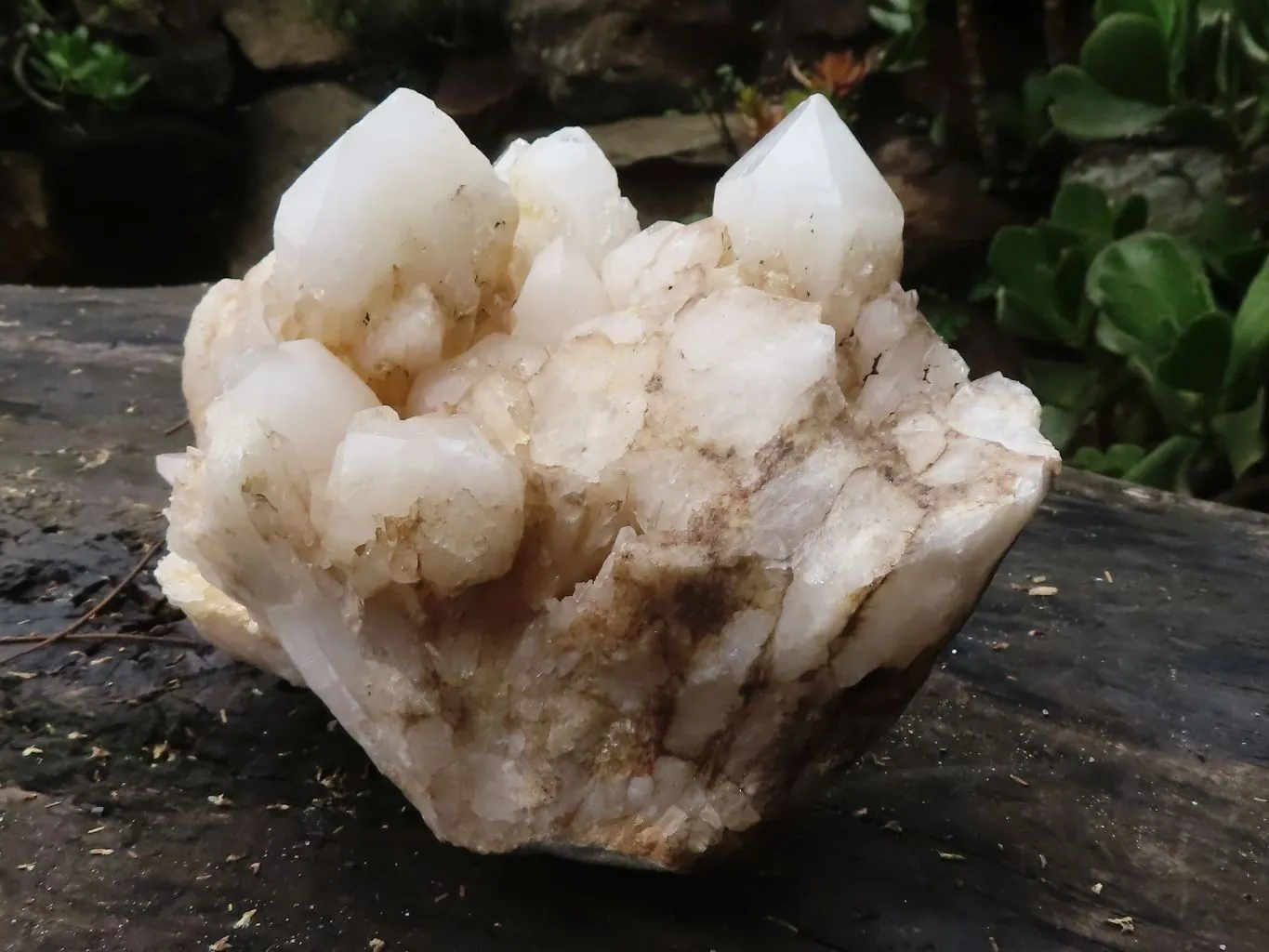 Natural Extra Large White Pineapple Quartz Cluster x 1 From Madagascar