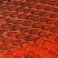 Orange Snakeskin Leather Belt