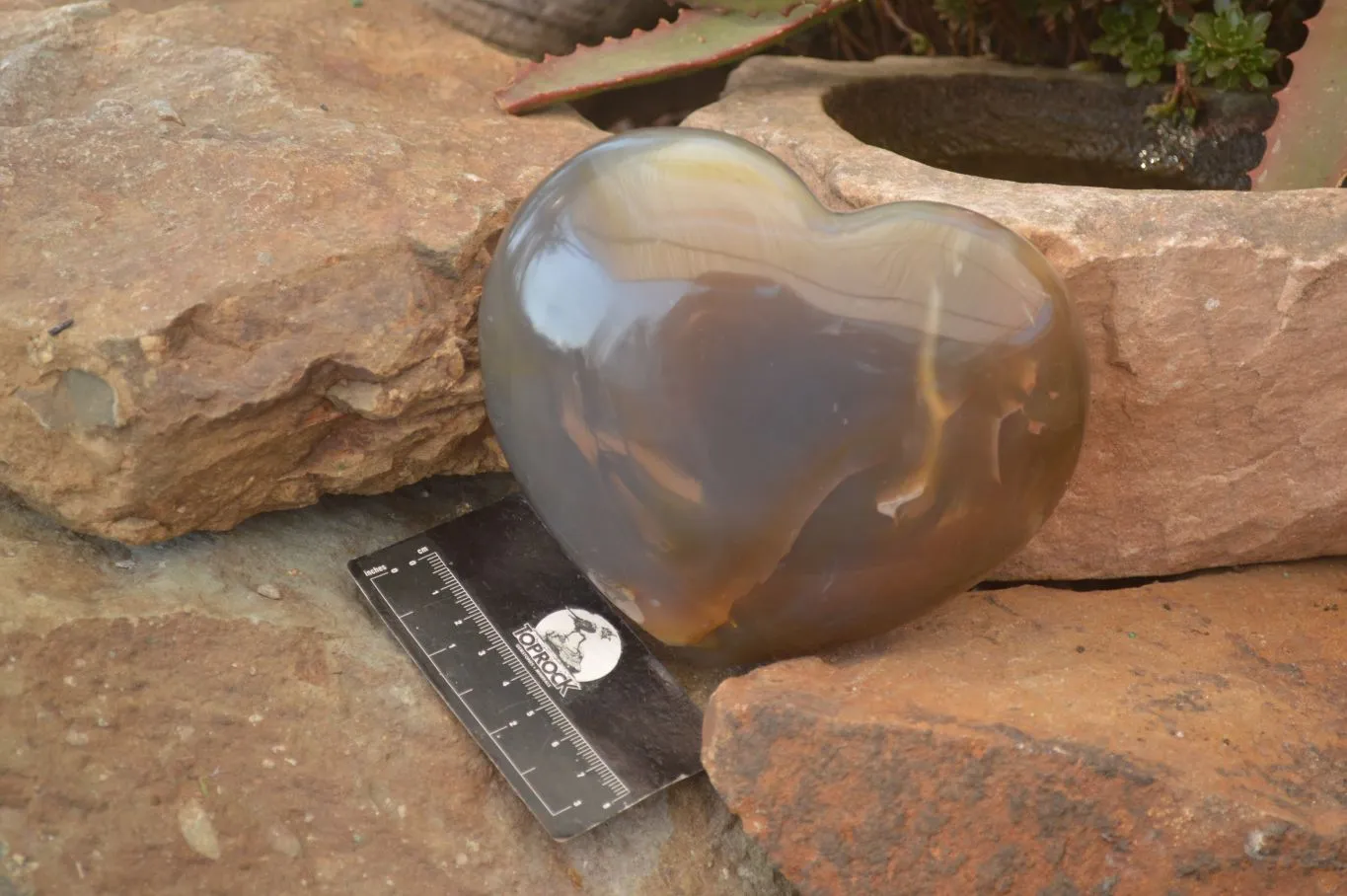 Polished Extra Large Translucent Chalcedony Gemstone Heart x 1 From Madagascar