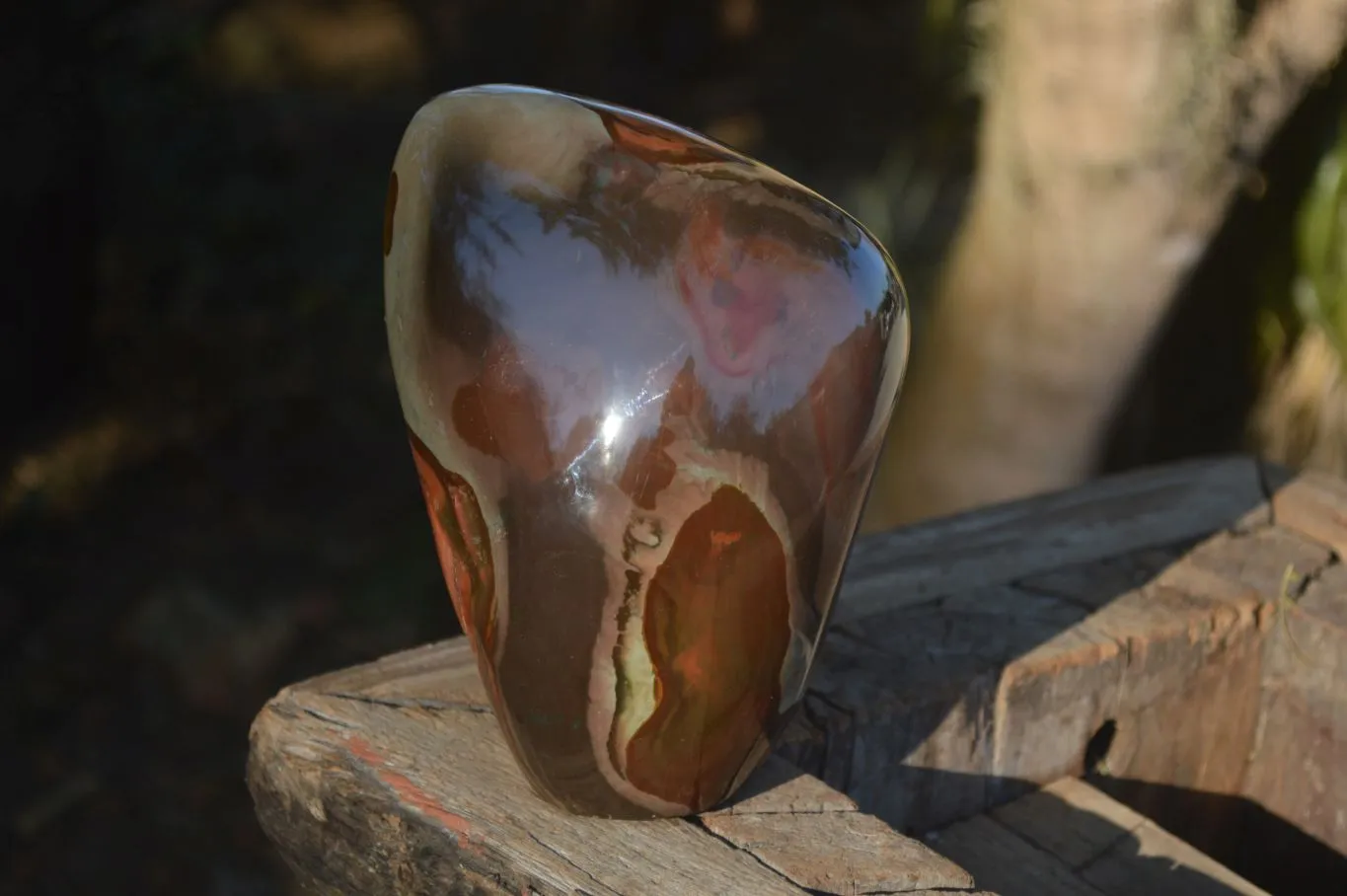 Polished One Side Polished Polychrome Jasper Standing Free Form  x 1 From Madagascar