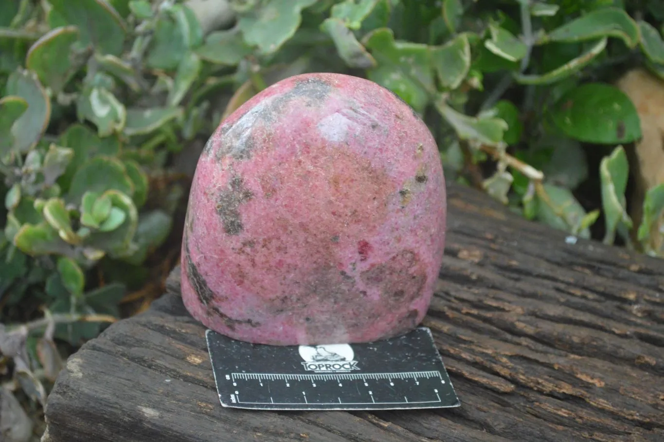 Polished Pink Rhodonite Standing Free Form x 1 From Madagascar